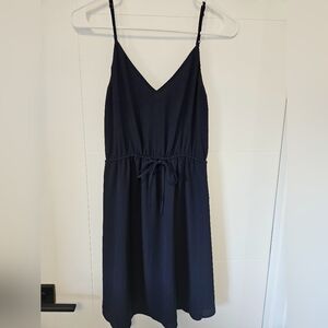 Aritzia Navy Dress
